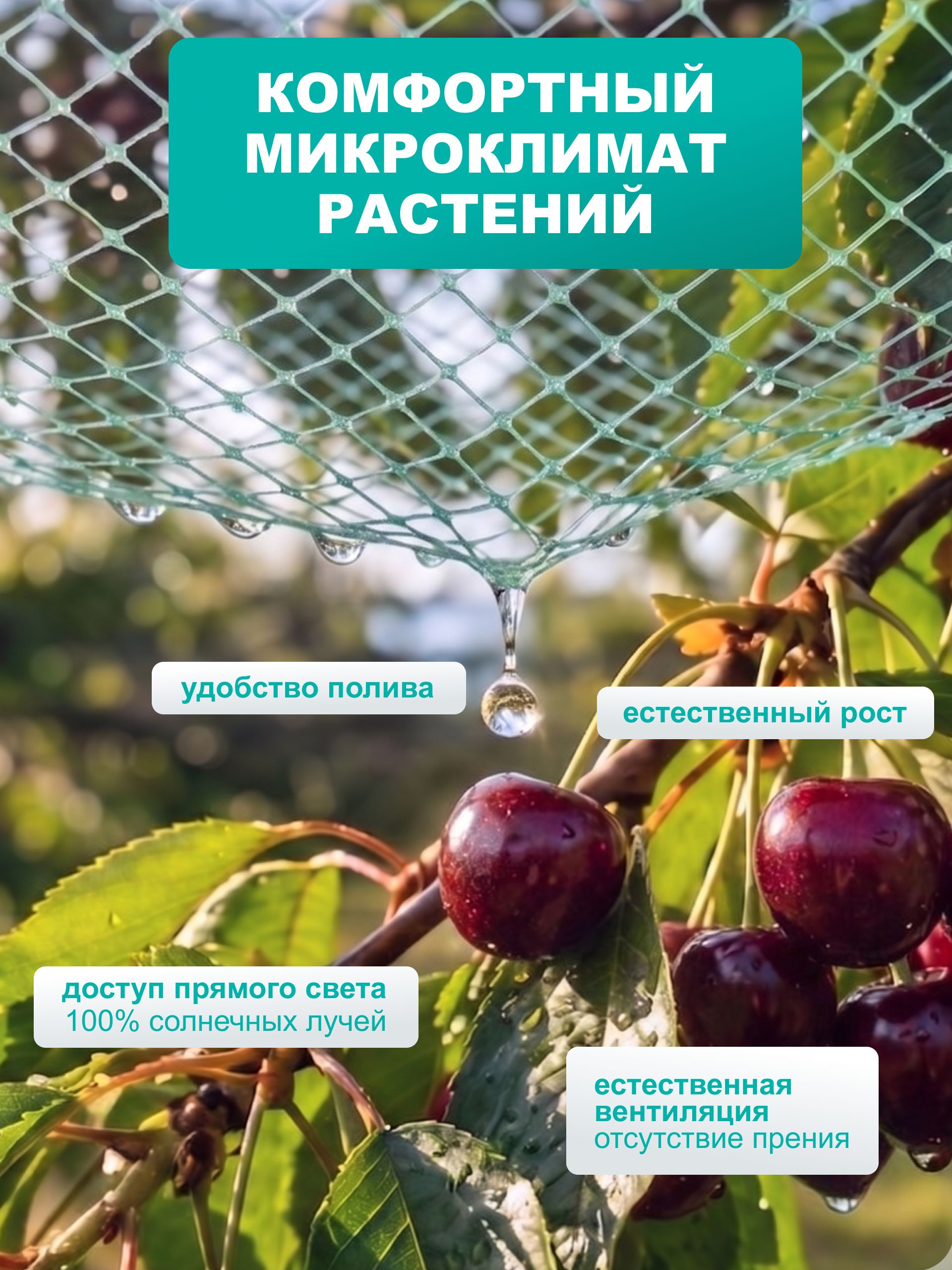 Сетка садовая от птиц 2*10 м, защитная сетка для клубники, вишни и ягодников, ячейка 15*15 мм