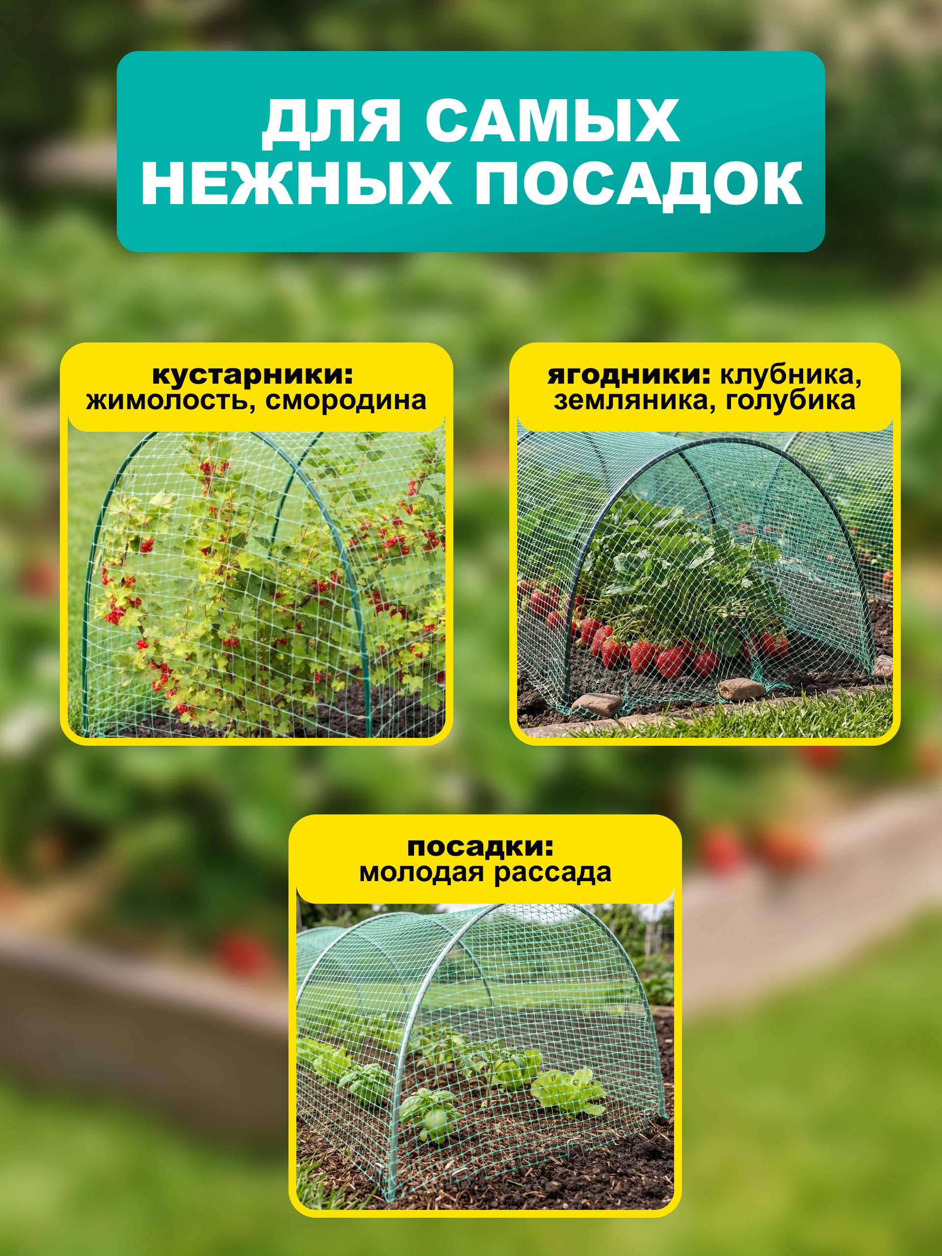Сетка садовая от птиц 2*10 м, защитная сетка для клубники, вишни и ягодников, ячейка 7*7 мм