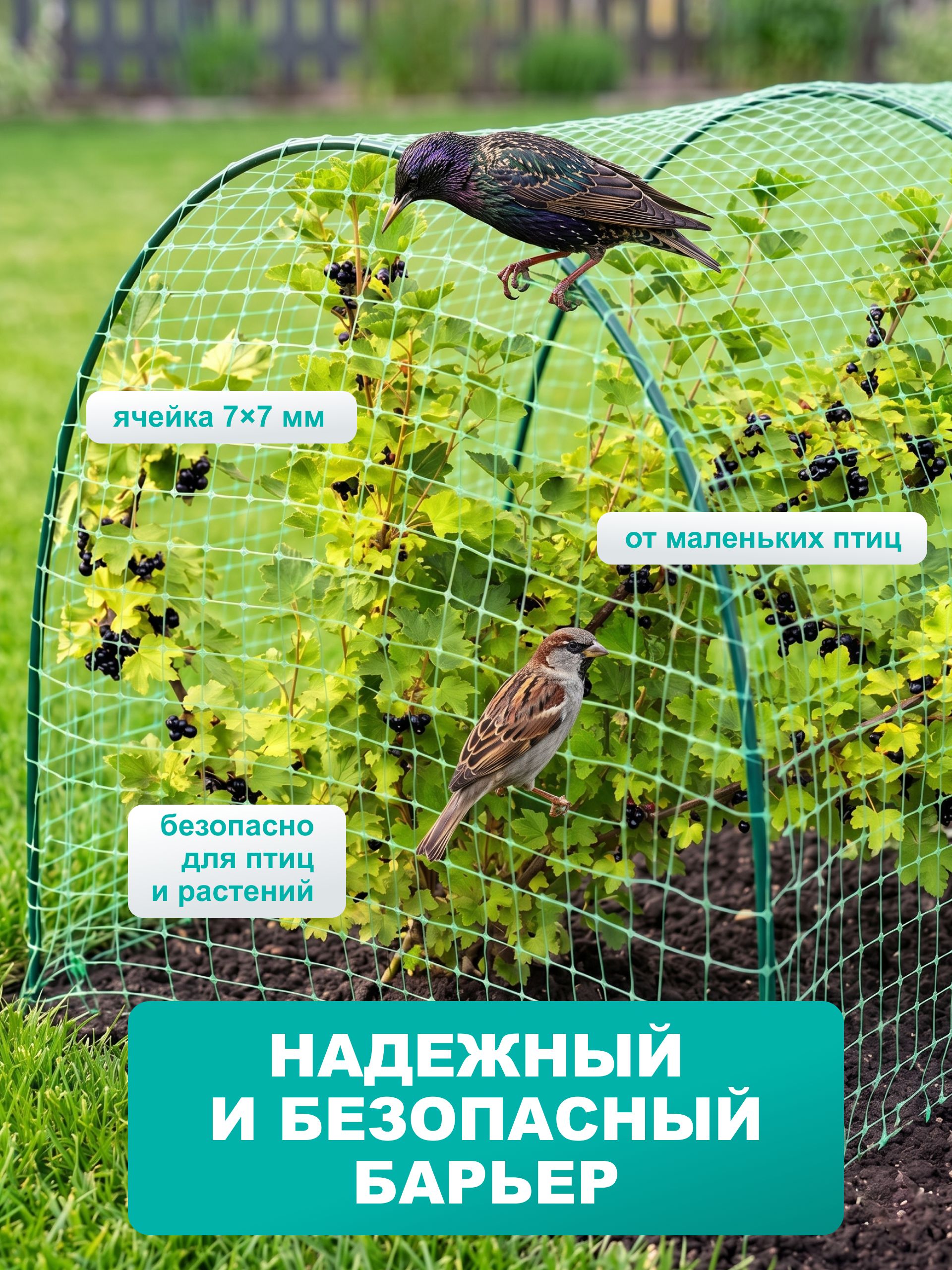 Сетка садовая от птиц 2*10 м, защитная сетка для клубники, вишни и ягодников, ячейка 7*7 мм